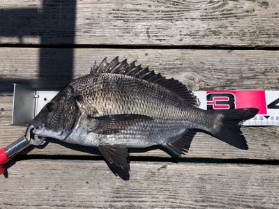 アタリが小さい