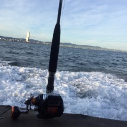 船タチウオ釣行