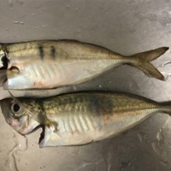 寒さすら感じる夜