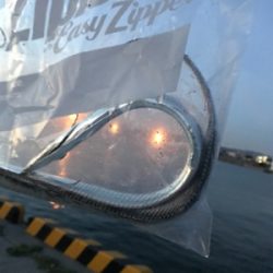 水軒にて人多い、タチウオはいる