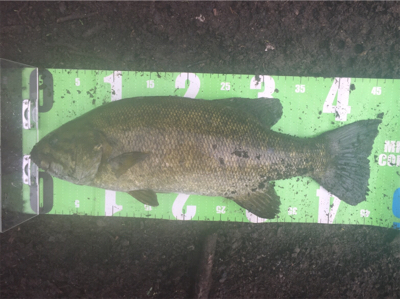 連休最終日に記録更新♪