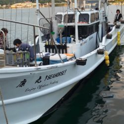 イカメタルリベンジ