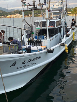 イカメタルリベンジ