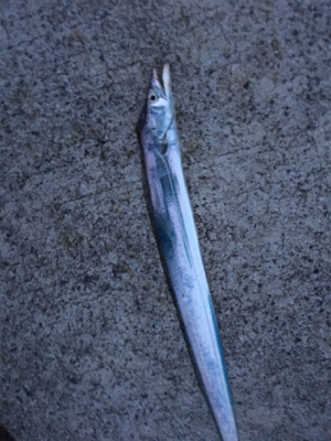 アタリはあるけど