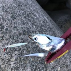 小さいけど、プチ爆発!