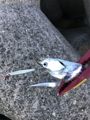 小さいけど、プチ爆発！