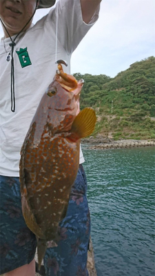 ロックフィッシュ