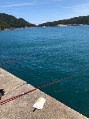 鯵を食べたかっただけなんです