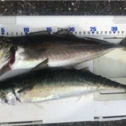 大津にてボート