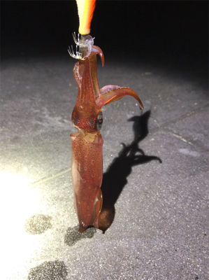 やっと1杯σ(^_^;)