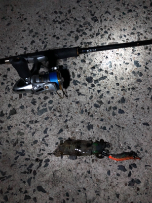 まだまだ小さいです