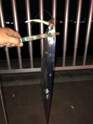 まだまだ細い！！