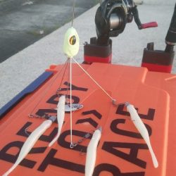 アラバマン撃沈！