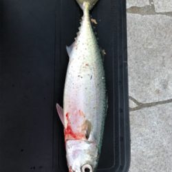 初めての淡路島