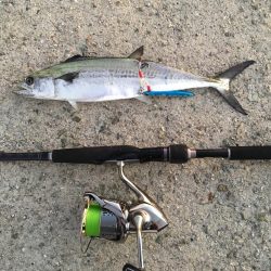 まずまずの釣果