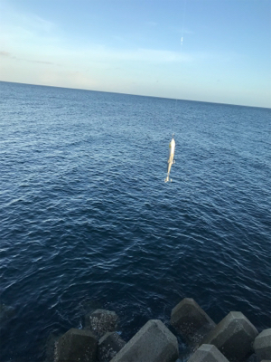 トップウォーター