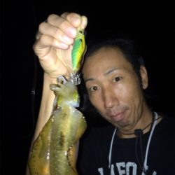 アオリイカ/ケンサキイカゲーム☆GUNNING-STYLE