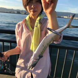 牙物系スタート？