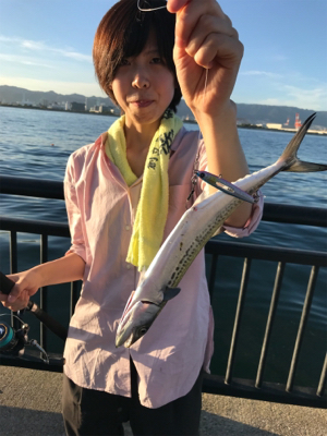 牙物系スタート？