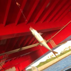 尼崎市魚釣公園