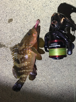 さっきのと合わせて、、