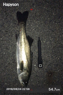 チーバスかと思えば…