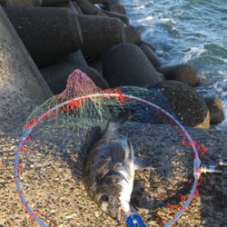 台風後の2日後は大時化！
