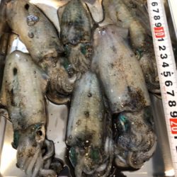 今日も朝からしゃくってきました！