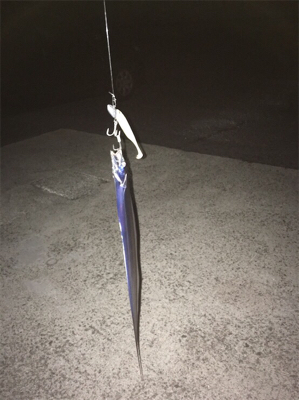 まだまだ細いです