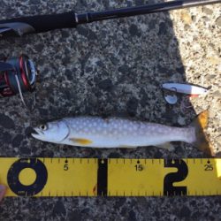 北海道旅行フィッシング1