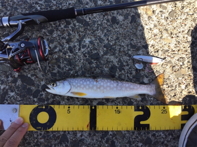 北海道旅行フィッシング1