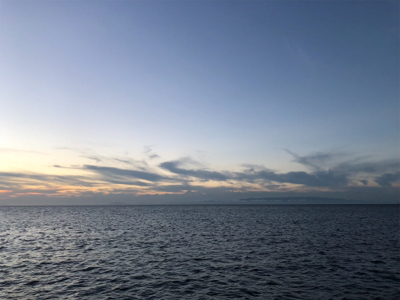 シーズン初タチウオ