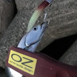 台風前と台風後、一転！