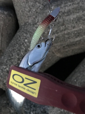 台風前と台風後、一転！