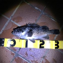 北海道旅行釣行2