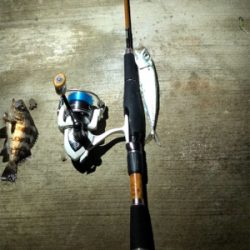 いい場所みっけ