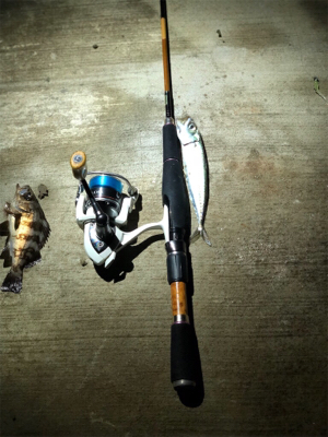 いい場所みっけ