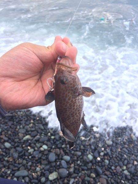 ショアジギング祭り