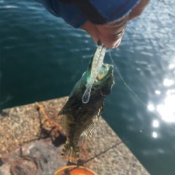 私だけに手厳しい（苦笑）