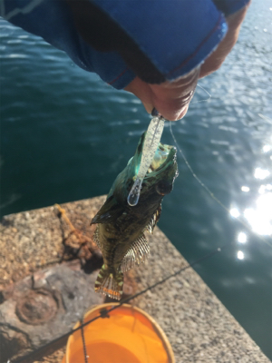 私だけに手厳しい（苦笑）