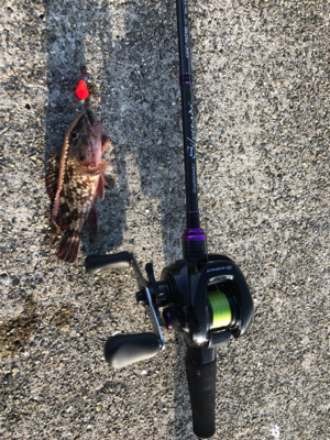 岸壁ブラクリ！