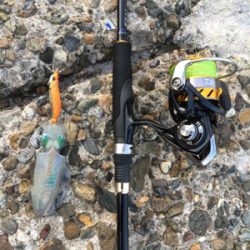 仕事終わりエギング