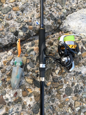 仕事終わりエギング