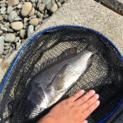 あと少しで年無し