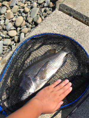 あと少しで年無し