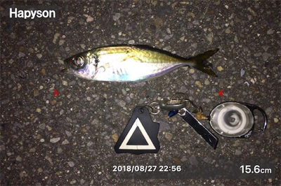 ランガン…ランラン?アジング