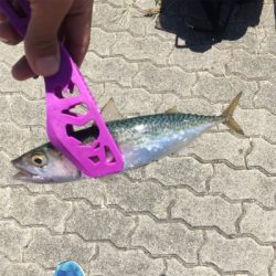 ULSJでのサバゲーム