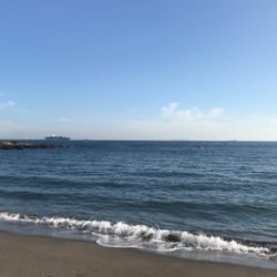 潮の早い場所と大潮の組み合わせ