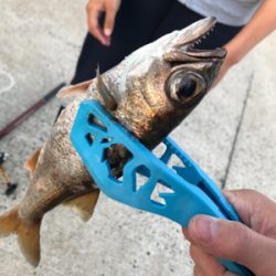 壱岐島釣行最終日