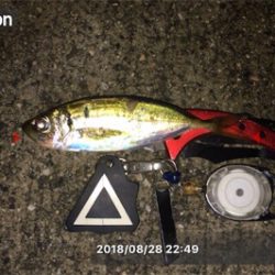 豆渋～基本のボトム